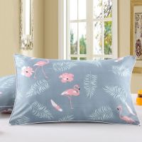学生宿舍酒店用枕头芯送枕芯加枕套枕头一对装家用枕套护颈枕|火烈鸟【枕芯+枕套】二只