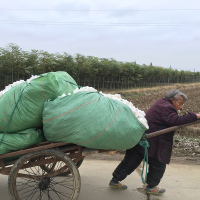 棉花被子加厚保暖新疆棉被纯褥子单人被芯冬被棉絮垫被学生棉胎