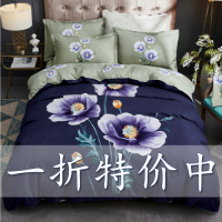 亲肤不起球不掉色双人床上四件套宿舍单件被套
