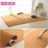 珊瑚绒地毯客厅茶几房间卧室沙发家用床边满铺加厚加密榻榻米地毯