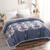 珊瑚绒加厚毛毯冬季防滑保暖加绒双层法兰绒夹棉毯子