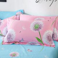 全棉枕套信封枕套成人枕头套48x74cm单人