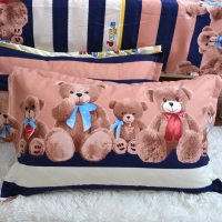 枕套一对装成人情侣卡通学生宿舍单人双人枕头套