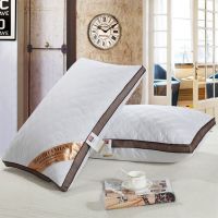 枕芯一对装成人家用枕头套装可爱少女心网红情侣特价便宜枕头芯潮