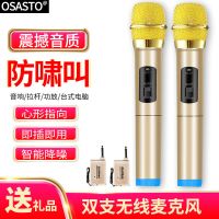 u段家用音响通用万能无线话筒ktv一拖二麦克风舞台k歌唱歌户外