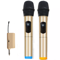 万能无线话筒一拖二u段家用ktv唱歌户外舞台音响通用手持麦克风
