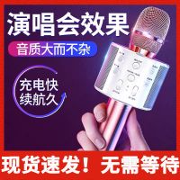 全民k歌儿童话筒音响一体高品质无线蓝牙中英文版麦克风手机唱歌