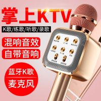 无线话筒儿童家用蓝牙手机ktv麦克风音响声卡全民神器k歌设备唱歌