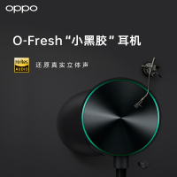 入耳式有线立体声耳机线控fresho-typec接口
