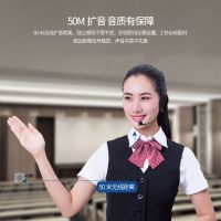 小蜜蜂扩音器耳麦老师教学话筒导游有线麦克风儿童麦舞台假唱通用