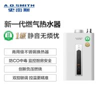 A.O.史密斯燃气热水器JSQ26-CSCX