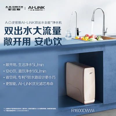 AO史密斯智慧互联大流量双出水全能净水机R1600DWWi