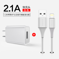 ipad充电器mini/air/2/3/4/iphone5|[银白色套餐]1米MFi认证线+2.1A单口充电器