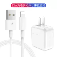 iphone11pro苹果充电器x手机18w快充pd闪充8plusxsmax|1根苹果数据线(1米)+1个ipad充电头