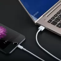 苹果数据线适用iphone11pro充电器线6x冲电xs5s快充6s手机7plusmax快速8pipad平板加长1.5米
