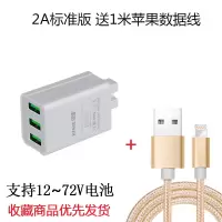 电动车手机充电器快充插头12v60伏72v电瓶通用三轮车载usb转换器|2A3口标准版【送1米苹果线】