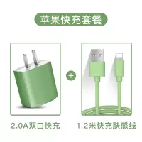 苹果充电器快充适用于iphone充电头华为usb插头多口oppo小米v|【套餐√抹茶绿】2A双口快充+苹果数据线1.2米