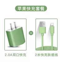 苹果充电器快充适用于iphone充电头华为usb插头多口oppo小米v|[套餐√抹茶绿]2A双口快充+苹果数据线2米