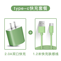 苹果充电器快充适用于iphone充电头华为usb插头多口opp|【套餐√抹茶绿】2A双口快充+Type-c数据线1.2米