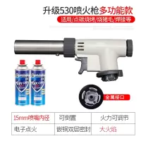 喷火卡式气喷头烘焙气罐家用焊喷火器喷灯烧猪毛点火器 530款多功能喷火枪+2脉鲜【送全套配件】价42.9