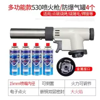 喷火卡式气喷头烘焙气罐家用焊喷火器喷灯烧猪毛点火器 530款多功能喷火枪+4脉鲜【送全套配件】价58.9