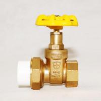 天一 金牛 ppr内丝活接闸阀 活接阀 全铜ppr内丝阀 全铜阀 20