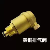 全铜自动排气阀自来水管道过滤放气阀4分6分1寸阀dn15 20 25 铜排气阀4分DN15