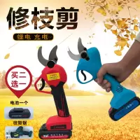 电动修枝剪充电式电动果树剪刀剪树枝园林修剪机强力锂电剪子 21V3cm10000H双电无赠品