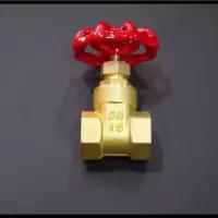 4分6分家用自来水阀铜闸阀加厚水管水表前阀钥匙暖气阀开关 2寸DN50铜闸阀