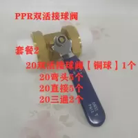 全铜阀ppr水管管件 配件ppr双头活接铜球阀 热熔管阀双头活接 套餐2