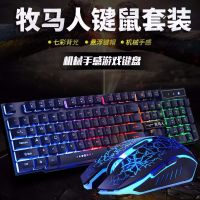 吃鸡键盘鼠标套装悬浮机械手感键盘有线键鼠套装家用发光游戏键盘