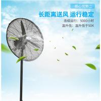 普风风扇落地扇30寸df750-t工业强力大风量牛角扇220v