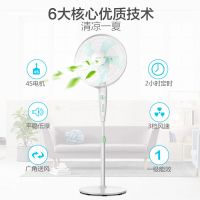 家用电风扇五页落地扇节能风扇宿舍办公定时学生台式电风扇 FD-4012-WG