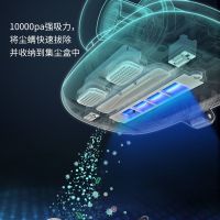 【送滤芯】仪家用吸尘器小型床铺机床上去螨虫仪器 新款依恋粉+4个滤芯
