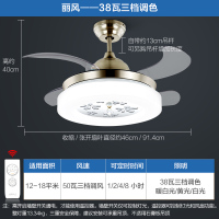 吊扇灯风扇灯客厅餐厅卧室家用简约风扇欧式吊灯fs 丽风【38瓦三档调色】三档调风★15-20㎡