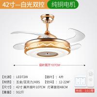风扇灯吊扇灯隐形客厅餐厅北欧蓝牙音响简约现代带灯风扇吊灯变频 Fsd-262-金色42寸-白光双控