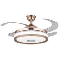 风扇灯吊扇灯 餐厅客厅卧室带蓝牙音响音乐电风扇吊灯一体隐形风扇带吊扇的吊灯具现代简约家用 金色36寸变光遥控+音响 其他