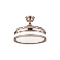 风扇灯吊扇灯 餐厅客厅卧室带蓝牙音响音乐电风扇吊灯一体隐形风扇带吊扇的吊灯具现代简约家 【变频】金色36寸变光遥控 其他