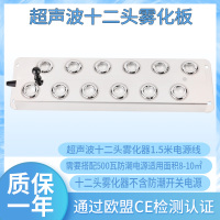 十头超声波雾化板假山喷雾板雾化加湿器造雾机水池景观制雾器10头 12头1.5米线（不含电源）