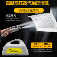 高温蒸汽清洁机家电清洗机多功能一体机洗车机家用空调设备油烟机