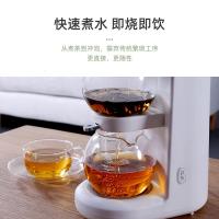 煮茶器沙漏养生壶全自动家用多功能煮茶壶办公室煮花茶茶饮机 沙漏壶