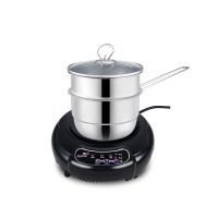 /h1迷你电磁炉小型电茶炉1000w两档调控学生宿舍火锅炉 H1+双层蒸锅
