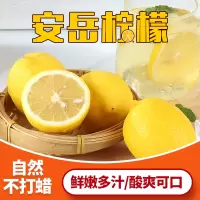 【营柠乡】【1斤装】四川安岳有机黄柠檬青柠檬 新鲜水果精选皮薄一级香水鲜柠檬青柠檬特产