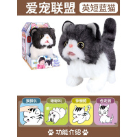 乐吉儿儿童电动小白兔毛绒玩具会跳会走的兔 ?[新款]英短蓝猫Q036 [高配]充电套装(含充电器+充电电池+螺丝刀+卡通