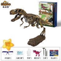 恐龙化石考古科学实验科技制作创客DIY石膏挖掘模型玩具 霸王龙+考古化石套装