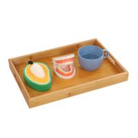 儿童蒙氏教具牙刷洗漱套装早教玩具假牙牙模型幼儿园认知牙齿 刷牙套装(男孩托盘款)