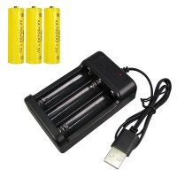 横着走路的创意螃蟹 男女孩灯光万向电动儿童玩具 充电器+充电电池