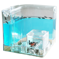 蚂蚁城堡家园 蚂蚁工坊宫房 种养蚂蚁宠物 新奇特孩子观察另类玩具 办公室摆设 创意礼品 带小方盒带灯（标配）