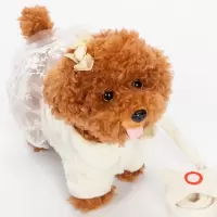 儿童电动毛绒玩具狗狗会唱歌会叫电子机器狗仿真泰迪牵绳走路小狗12345岁男孩 米色花边 180首歌+动嘴+内存下载+豪礼
