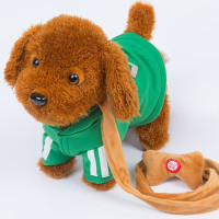 儿童电动毛绒玩具狗狗会唱歌会叫电子机器狗仿真泰迪牵绳走路小狗12345岁男孩女孩玩具 绿色泰迪 72首歌+